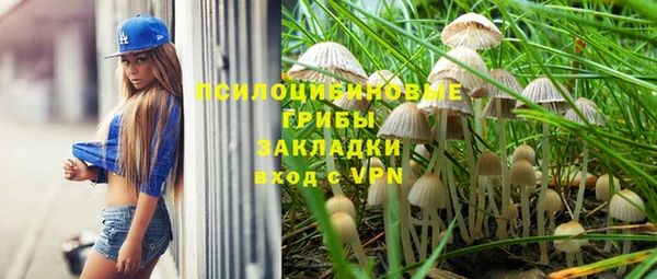 бошки Арсеньев
