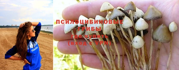 круглые Аркадак