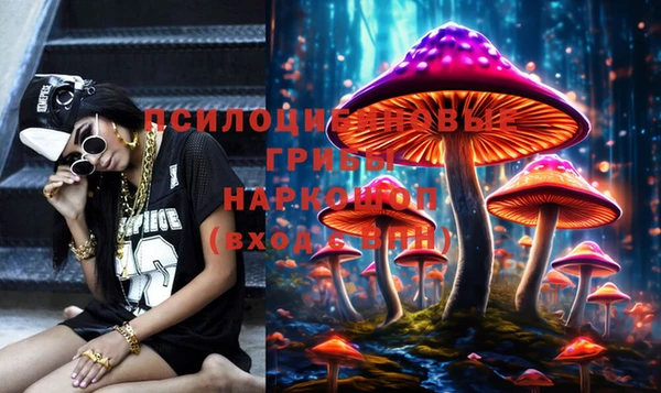 бошки Арсеньев