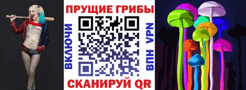 Галлюциногенные грибы GOLDEN TEACHER Ухта